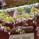 La Tartana Hotel